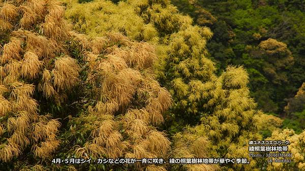 �� ���ռ��ӤΥ����������ʤɤγ���