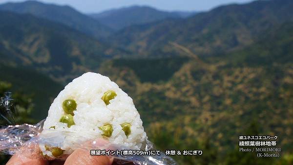 ���ռ���Ÿ˾������ Ÿ˾�ݥ����(��ɸ��509m)�ǵٷơ����ˤ���