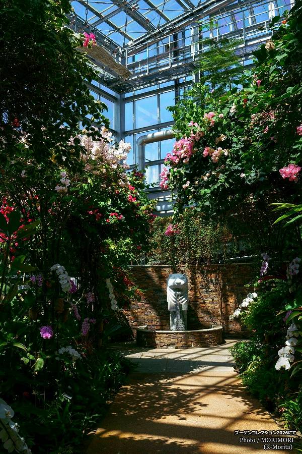 �粹���⡡�֡����󥳥쥯�����2026