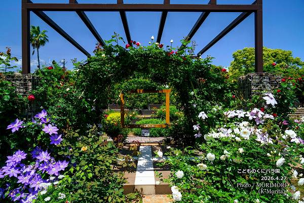 ���ɤ�Τ��˥Х��ˤ� 2026.4.27 