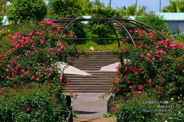 �֤Ϥ뤫���ɡ���פ��ɤ�Τ��˥Х��ˤ� 2026.4.27 