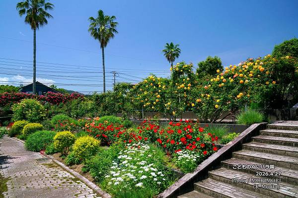 ���ɤ�Τ��˥Х�ࡡ2026.4.27