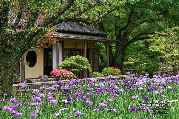�Ҥʤ��ܺ긩���籿ư���� �������� �Ϥʤ��礦��
