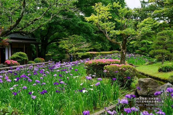 �Ҥʤ��ܺ긩���籿ư���� �������� �Ϥʤ��礦��