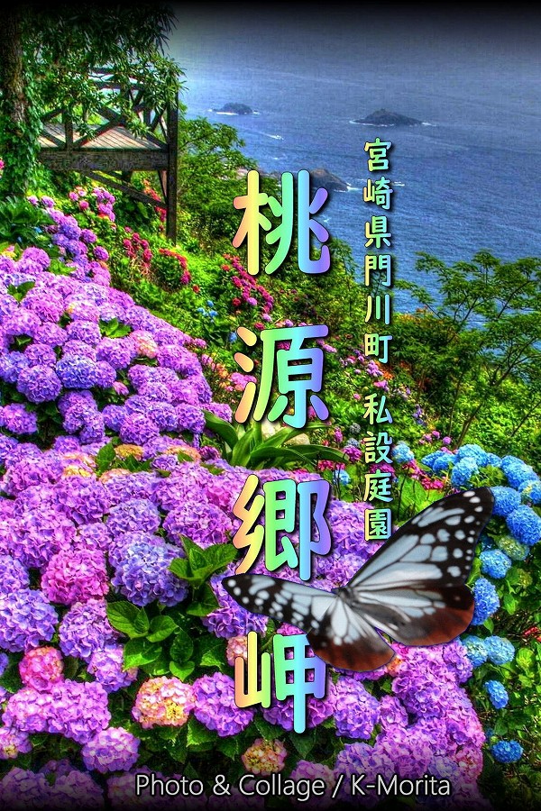 ������̨�ʥ��顼��������̿���