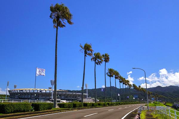 宮崎南バイパス(国道220号)ひなたフェス2026のフラッグ 宮崎南バイパス(国道220号)ひなたフェス2026のフラッグ