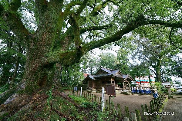 下水流臼太鼓踊 西都市(南方神社) 下水流臼太鼓踊 西都市(南方神社)