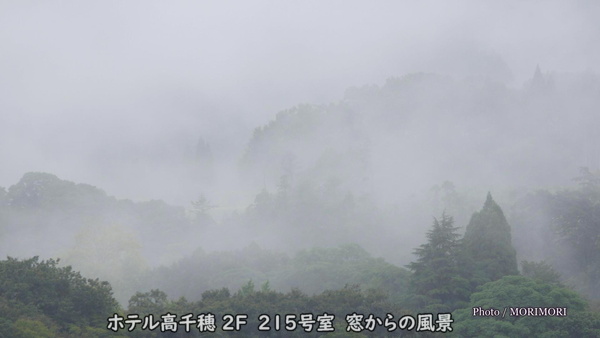 �ۥƥ��������뤫��ηʴ�