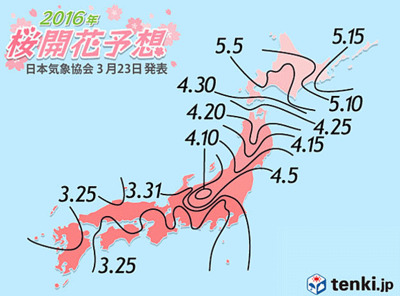3月23日発表　桜の開花予想　日本気象協会