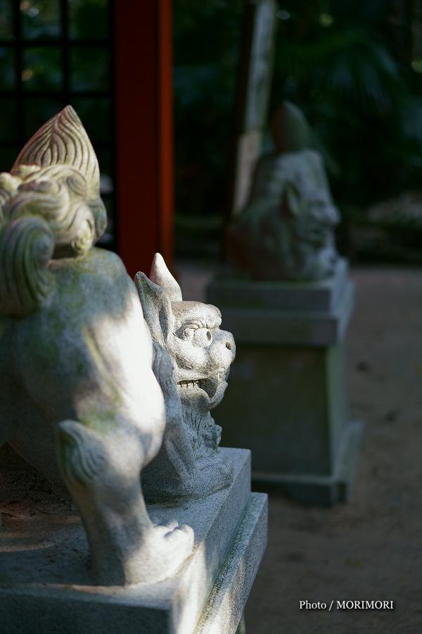 青島神社　奥宮の狛犬