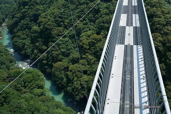 綾町　綾照葉大吊橋