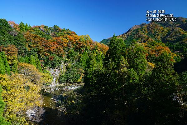 五ヶ瀬 鞍岡 祇園山周辺の紅葉