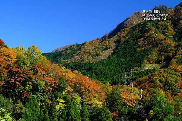 五ヶ瀬 鞍岡 祇園山周辺の紅葉