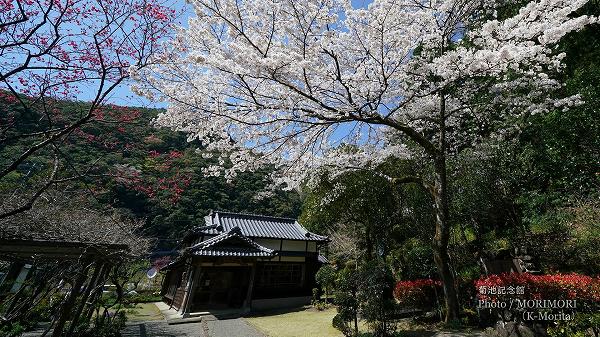 西米良村　菊池記念館と桜