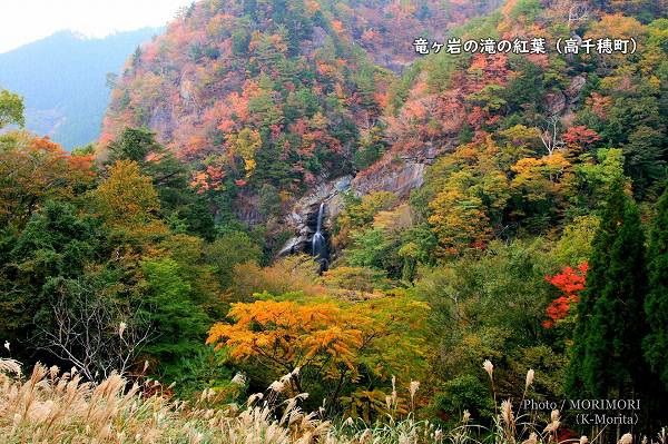 高千穂町　竜ヶ岩の滝の紅葉
