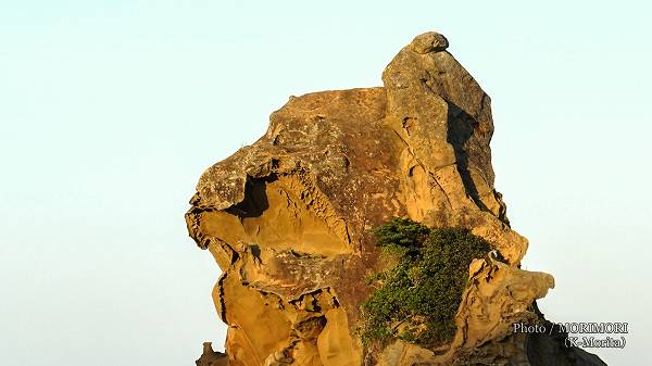 日南市 梅ヶ浜のライオン岩