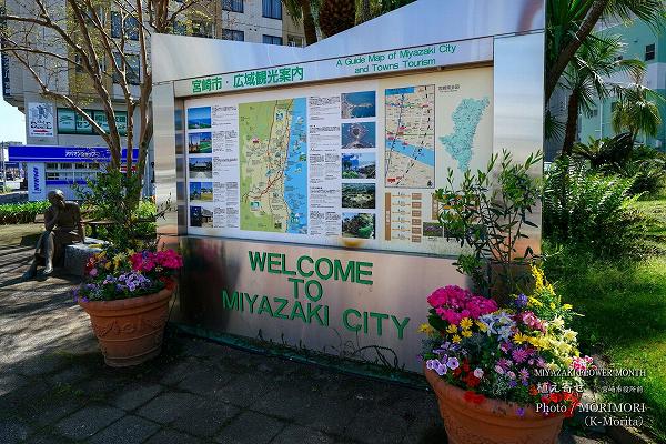 宮崎市市役所周辺 季節の花の植え寄せ鉢