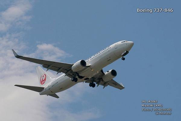 ʣ JA306J Boeing 737-846 